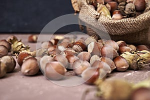 hazelnuts spilled on the table from a canvas bag close-up