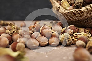 hazelnuts spilled on the table from a canvas bag close-up