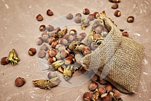 hazelnuts spilled on the table from a canvas bag close-up