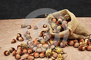 hazelnuts spilled on the table from a canvas bag close-up