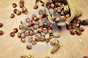 hazelnuts spilled on the table from a canvas bag close-up