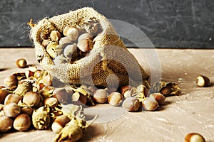 Hazelnuts spilled on the table from a canvas bag close-up