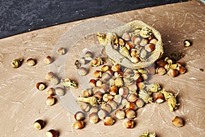 hazelnuts spilled on the table from a canvas bag close-up