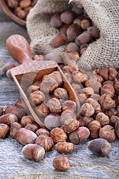 Hazelnuts on a spoon and in a linen sack