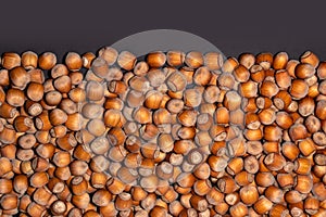 Hazelnuts. Stack of hazelnuts. Food background. Hazelnut on darck background