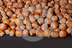Hazelnuts. Stack of hazelnuts. Food background. Hazelnut on darck background