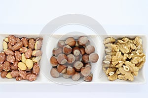 hazelnuts and walnut kernels isolated on white background