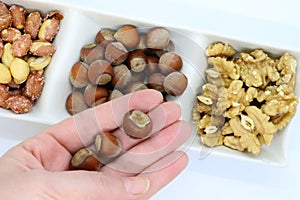 hazelnuts and walnut kernels isolated on white background