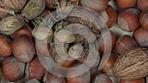 Hazelnuts and walnuts dry nuts food. counterclockwise turntable