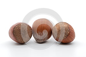 Hazelnuts on white background, cropped image