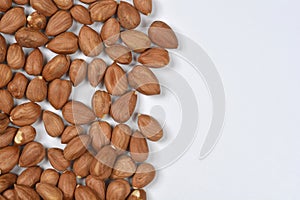 Hazelnuts and White Space