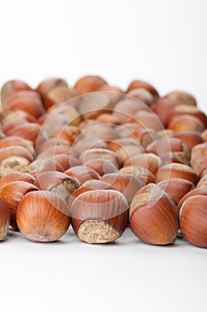 Hazelnuts on white surface