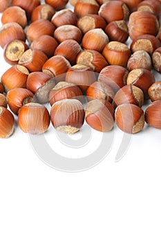 Hazelnuts on white surface