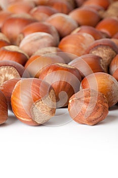 Hazelnuts on white surface
