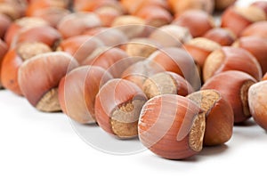 Hazelnuts on white surface