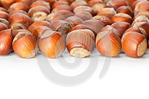 Hazelnuts on white surface