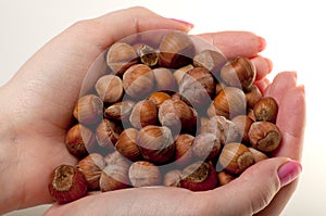 Hazelnuts in women's hands