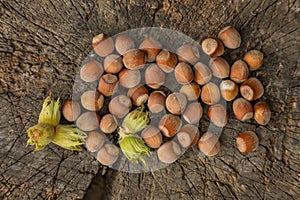 Hazelnuts on a wooden background