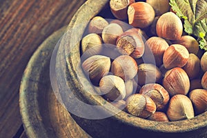 Hazelnuts on wooden background