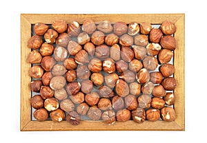 Hazelnuts in wooden frame