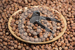 Hazelnuts on wooden plate