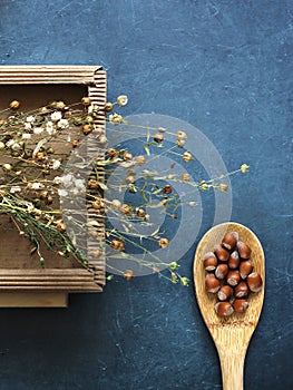 Hazelnuts on a wooden spoon and dry plants in a cardboard box stacked on a dark countertop