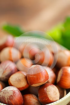 Hazelnuts on a wooden table. Farmed organic ripe hazelnuts. Nut abundance.Healthy fats.Nuts with green leaves.