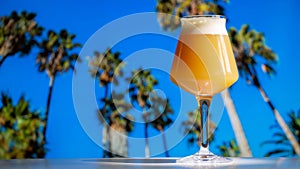Hazy IPA Craft Beer in Teku Glass with Tropical Palm Trees and Blue Sky