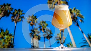 Hazy IPA Craft Beer in Teku Glass with Tropical Palm Trees and Blue Sky photo