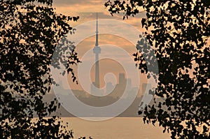 Hazy morning Toronto skyline framed by tree foliage