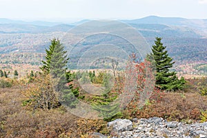 The hazy summit of Spruce Knob, West Virginia