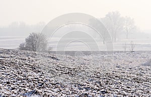 Hazy winter landscape photo