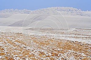 Hazy winter landscape photo