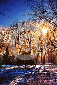 Hazy Winter Sunrise with Fog and Snow