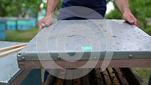 HD Beekeeper opens the beehouse`s cover to take honey out of it