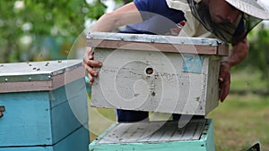 HD Beekeeper piles the beehouse on the other beehouse after taking honey out of it