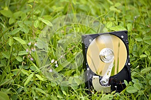 HDD silicon on grass.