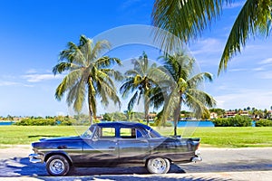 HDR - American black vintage car parked under palms near the beach in Varadero Cuba - Serie Cuba Reportage