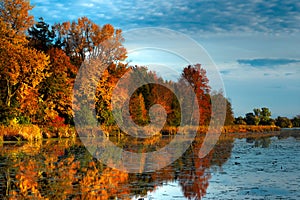 HDR Autumn Forest on Waterfront