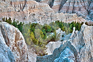 HDR Badlands Forest