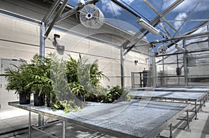 HDR of Greenhouse