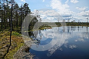 HDR - image Scenic view of the big Viru bog lake waterside in Estonia