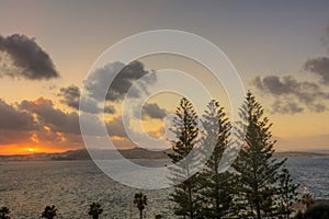 HDR image of a sunset on the horizon behind three trees and a sea