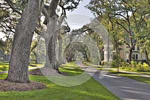 Hdr neighborhood