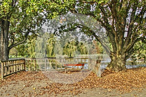 HDR Photo empty bench in Stromovka park in autumn, Prague