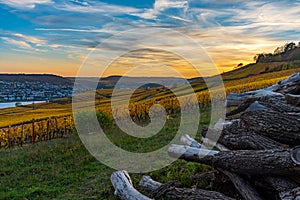 HDR Photo of vineyards in Rheingau/Germany on a beautiful autumn day.