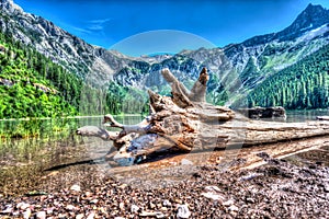 HDR Shoreline view from Avalanche Lake in Glacier National Park, MT, USA.