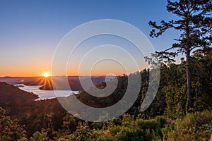 HDR Sunrise Over the Mountains beside a towering Pine