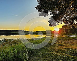 HDR Sunset through the trees