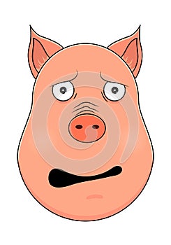 Head of afraid pig in cartoon style. Kawaii animal.